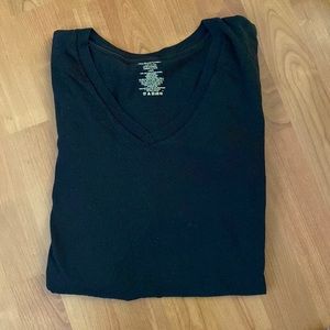 Polo Ralph Lauren V Neck Tee (2 shirt bundle)